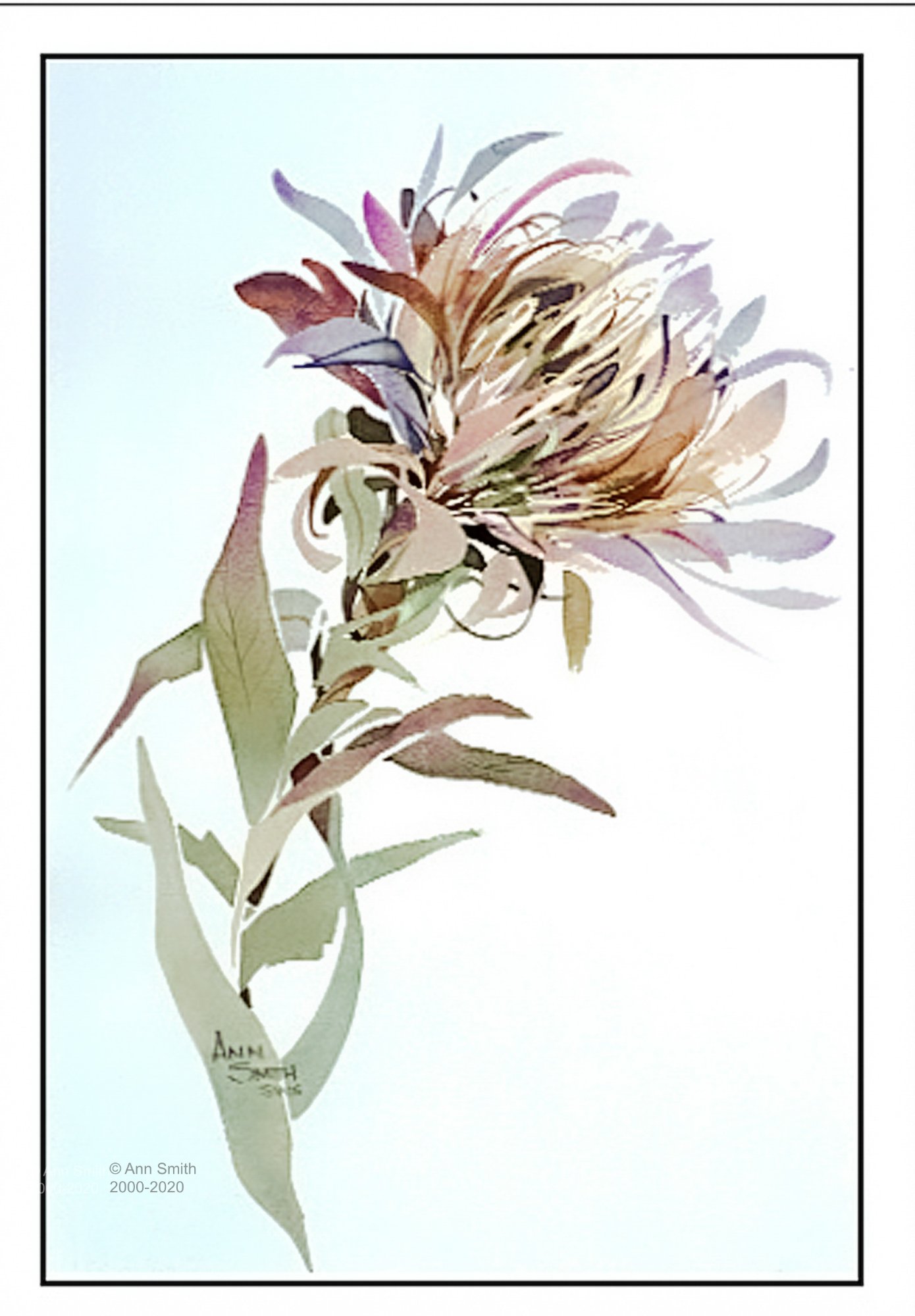 Protea II